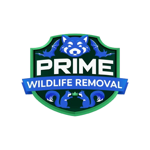 Animal Removal Tallmadge
